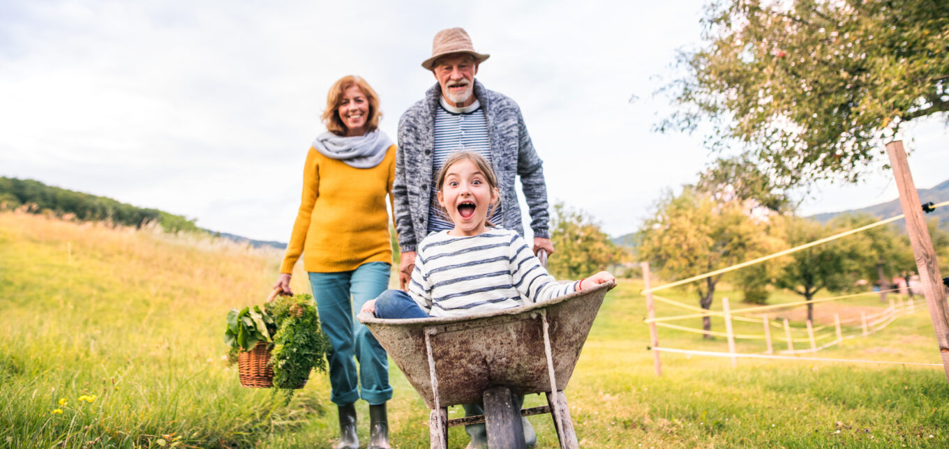 Gracefully Aging On a Homestead – Mother Earth News - Vimarsana News